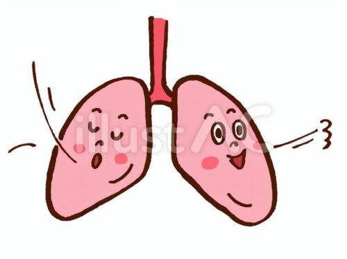 食養生　空気　肺
